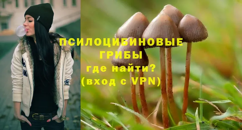 Галлюциногенные грибы Psilocybine cubensis  Богданович 